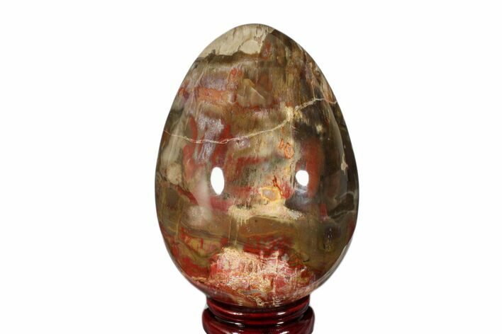 Colorful, Polished Petrified Wood Egg - Madagascar #172526